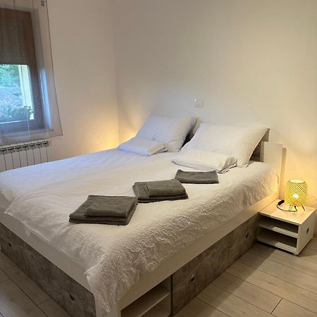 Apartma Anze Samec Dobravlje 外观 照片