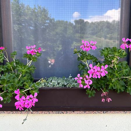 Apartma Anze Samec Dobravlje 外观 照片