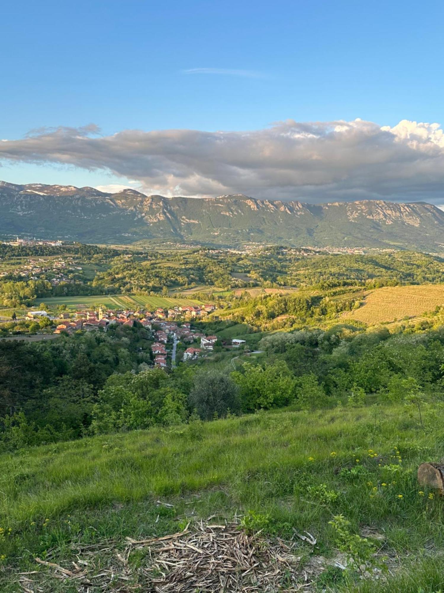 Apartma Anze Samec Dobravlje 外观 照片